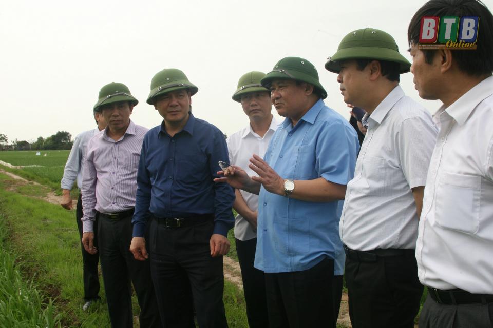 Kiểm tra tình hình sản xuất nông nghiệp và nuôi trồng thủy sản tại hai huyện Thái Thụy và Tiền Hải