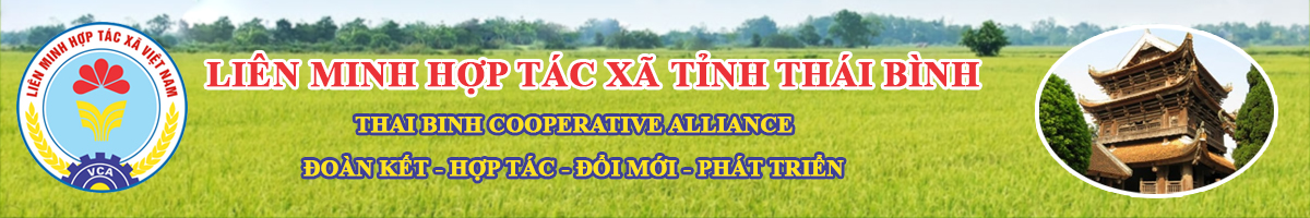 Liên Minh Hợp Tác Xã Tỉnh Thái Bình