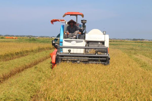 Hợp tác xã sản xuất kinh doanh dịch vụ nông nghiệp Bình Định, Kiến Xương được lựa chọn tham gia thí điểm mô hình HTX kiểu mới hiệu quả tỉnh Thái Bình giai đoạn 2021-2025